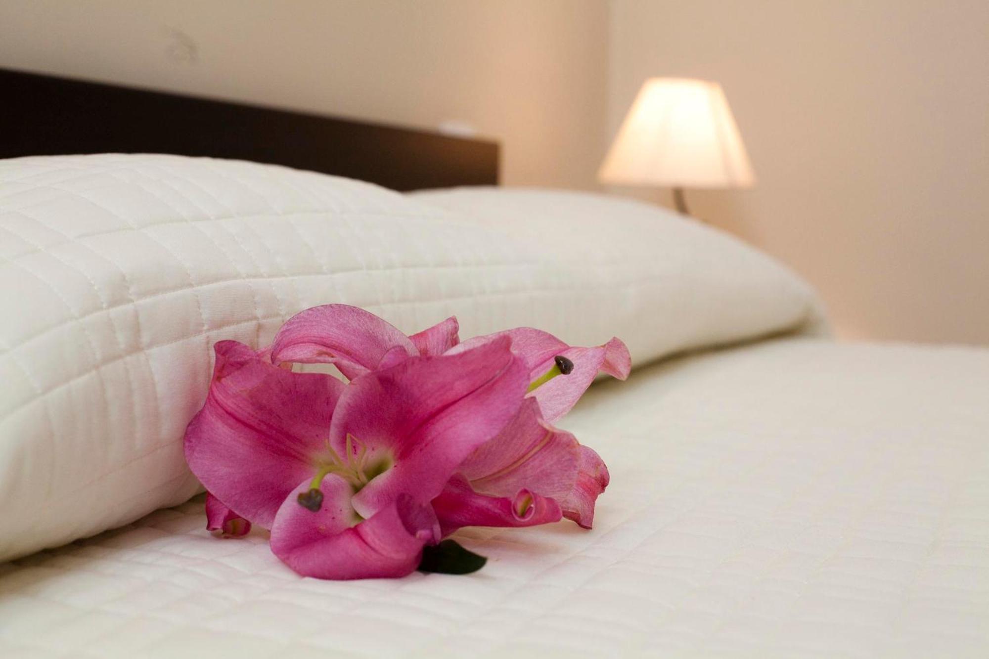 Antiche Volte Bed & Breakfast Catania Luaran gambar